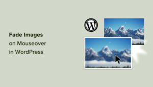 WebHostingExhibit How-to-Fade-Images-on-Mouseover-in-WordPress-Simple-amp-300x170 Blog  